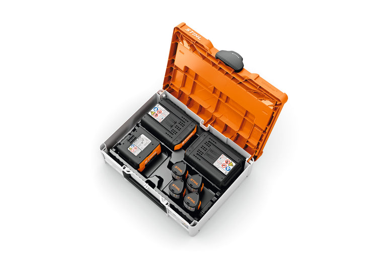 Akku-Box (Systainer System) S - 4 Akkus