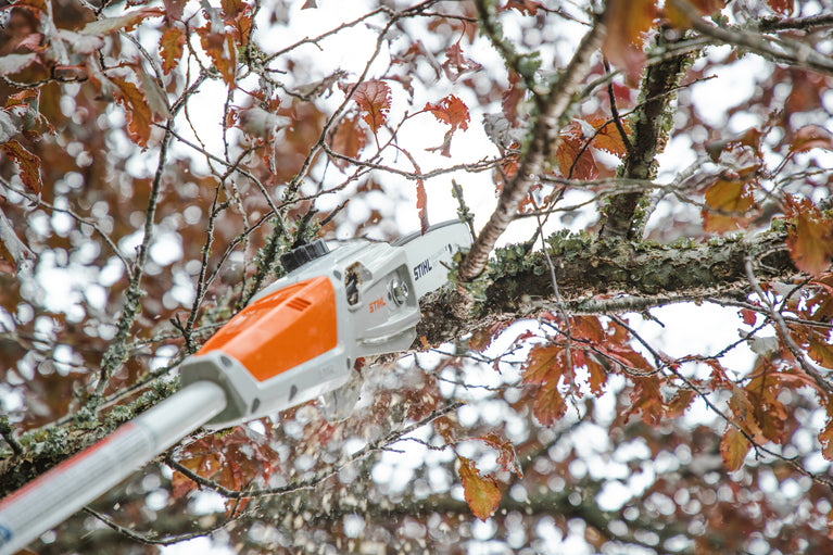 STIHL Akku-Hochentaster HTA50 - AK-System